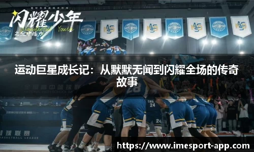 IM电竞官方网站