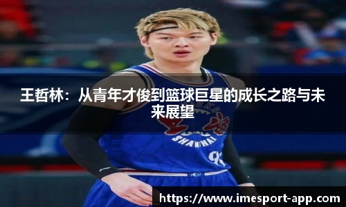 IM电竞官方正版网站