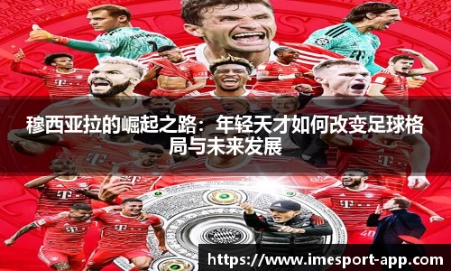 IM电竞官方网站