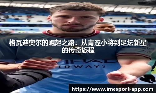 IM电竞官方正版网站